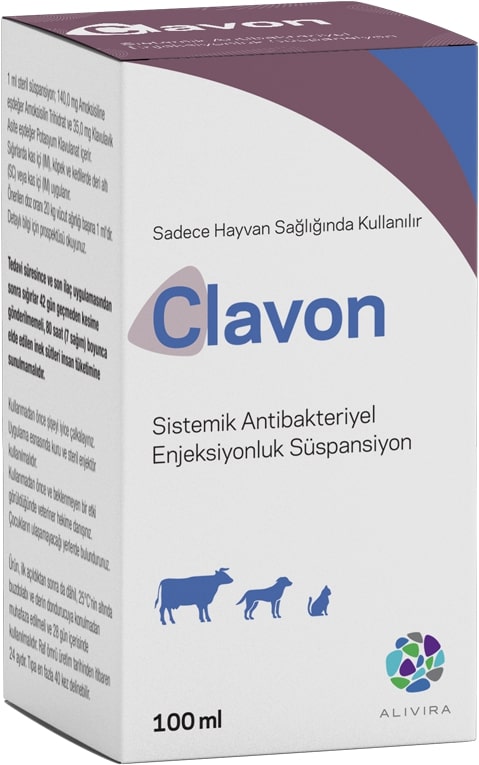 CLAVON 100 ML ENJ.