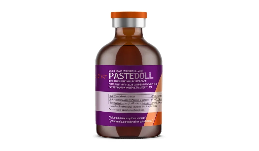 PASTEDOLL-3 25 Ds. 50 ml