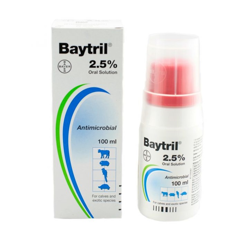 BAYTRİL %2,5 100 ML ORAL SOLUTION