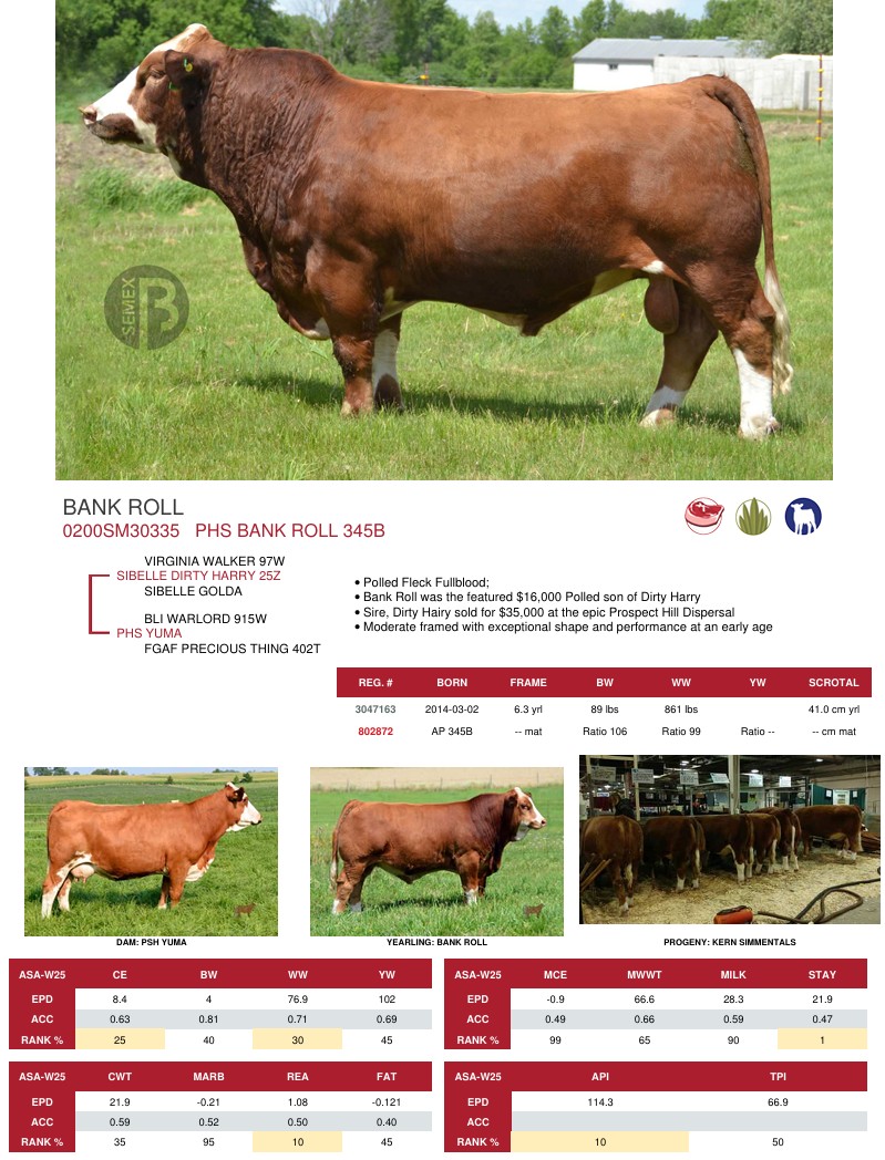 SUNİ TOHUM PHS BANK ROLL 345B