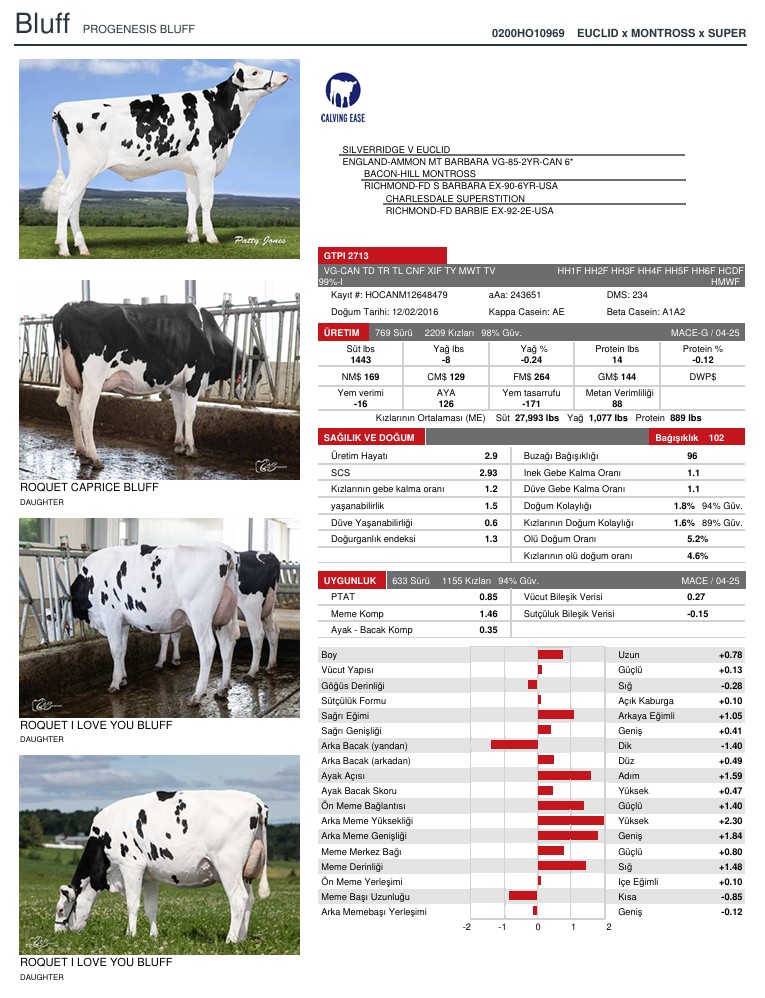 SUNİ TOHUM PROGENESIS BLUFF