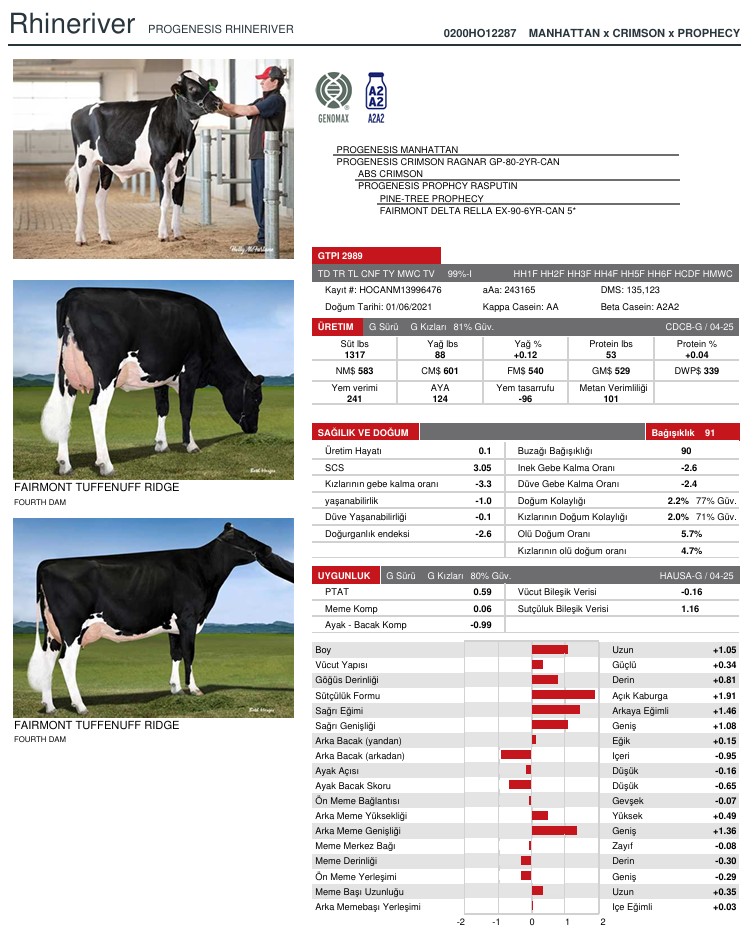 SUNİ TOHUM PROGENESIS RHINERIVER