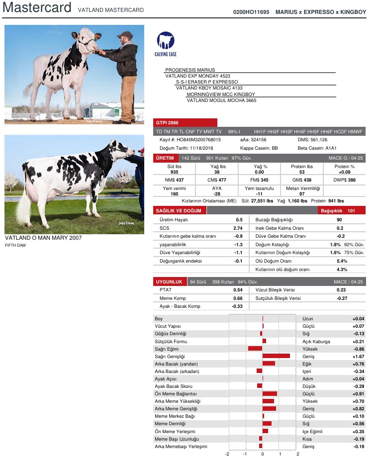 SUNİ TOHUM VATLAND MASTERCARD-ET