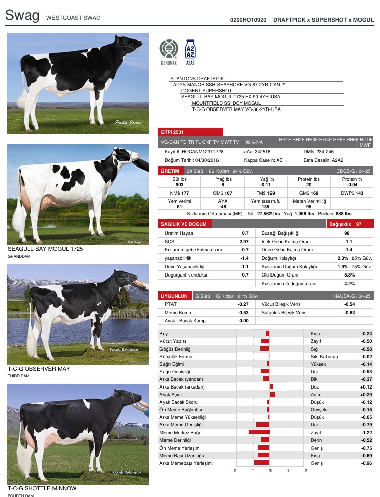 SUNİ TOHUM WESTCOAST SWAG