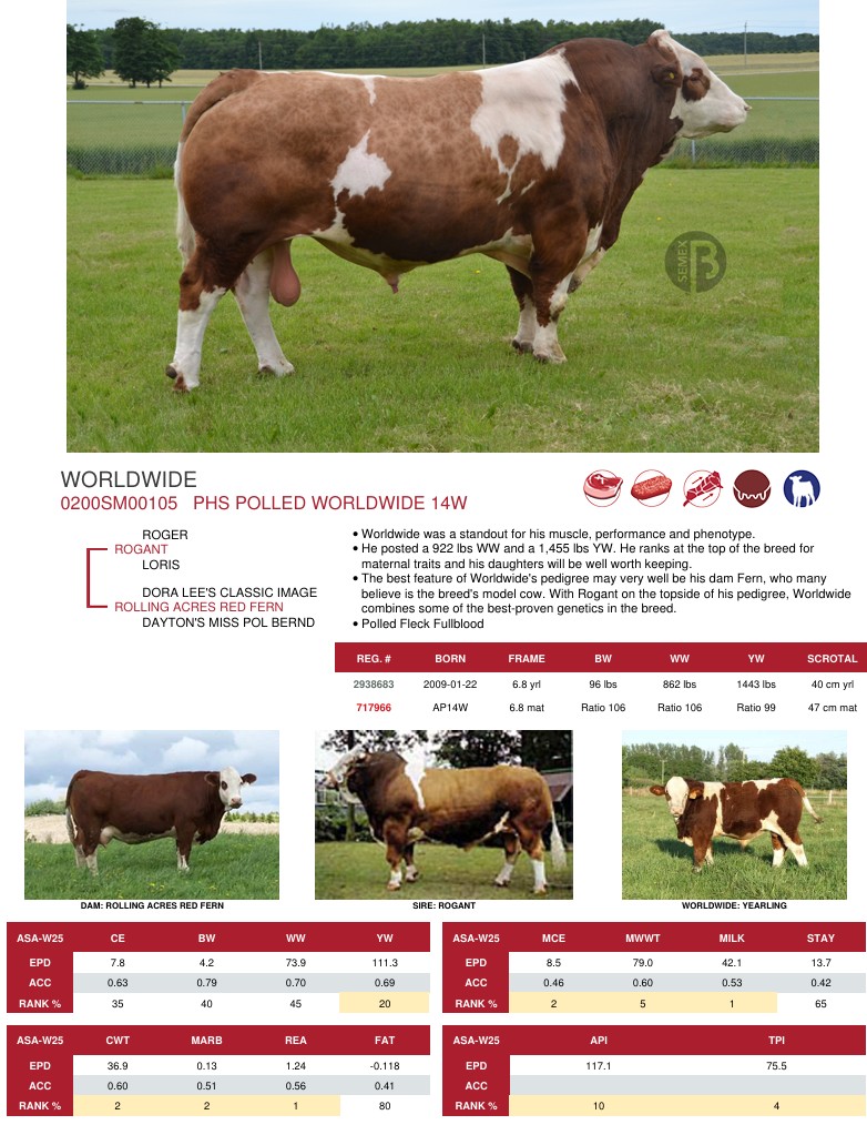SUNİ TOHUM PHS POLLED WORLDWIDE 14W